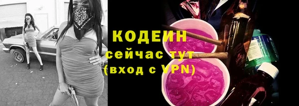 хмурый Краснослободск