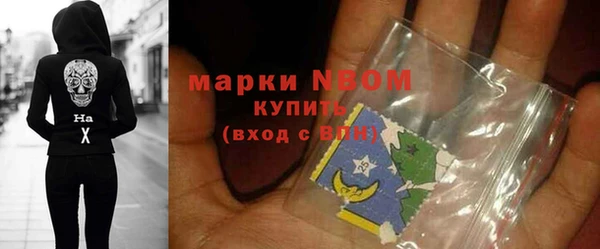 хмурый Краснослободск