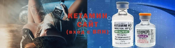 сатива Кукмор